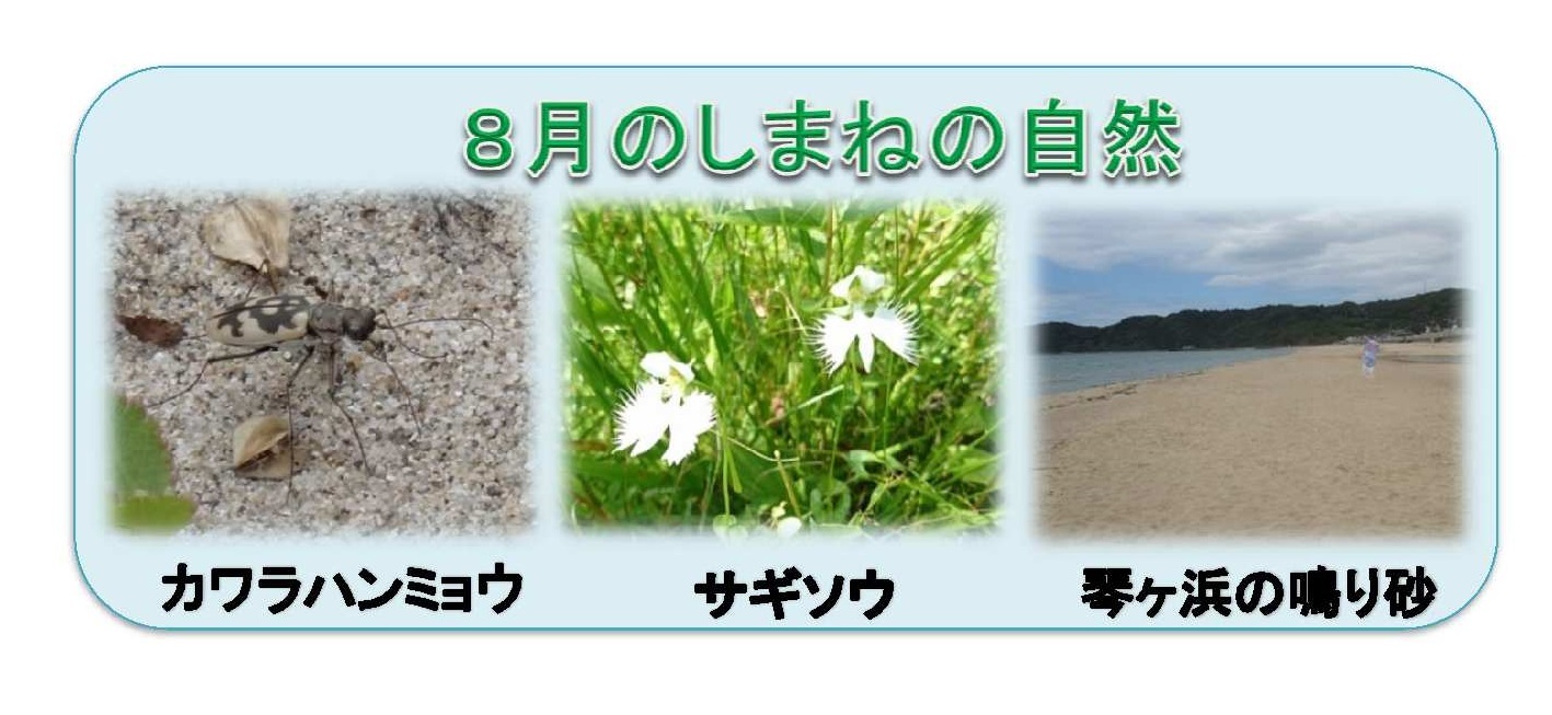 8月のしまねの自然