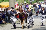 隠岐の総社。御霊会風流での馬入れ神事